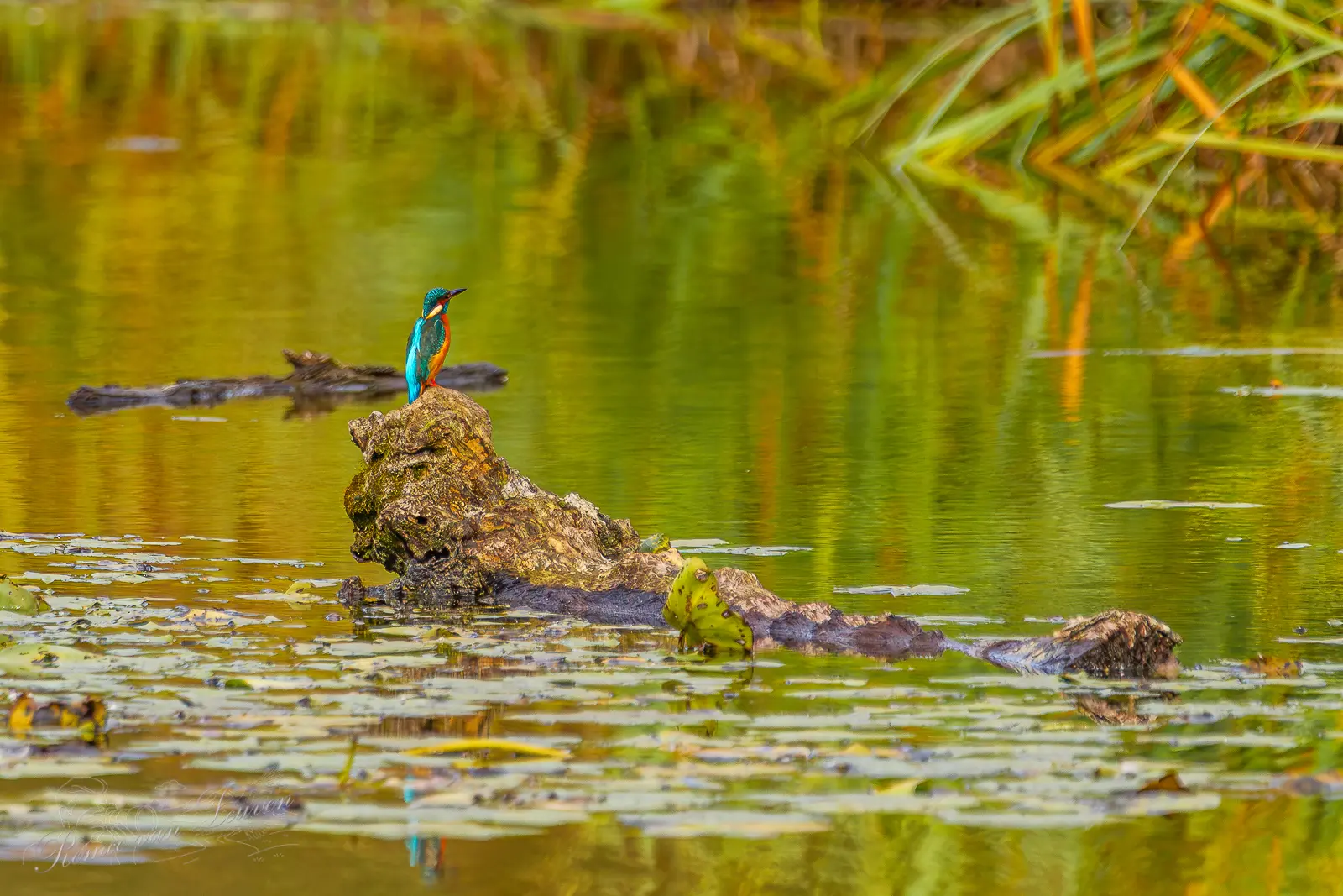 Photo taken by Remco van Leuven.